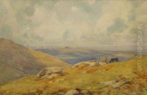Ponies On A Moor