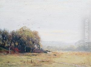 Country Landscape by Parker Hagarty