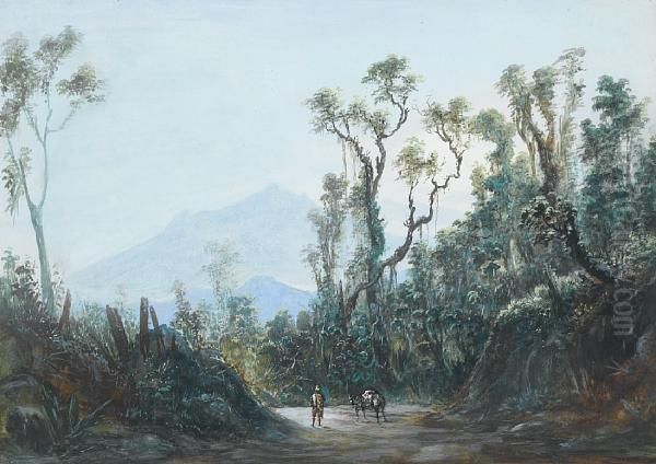 Brazilian Landscape - view 1