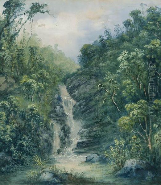The Waterfall At Tijuca, Rio De Janeiro - view 1