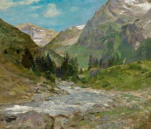 Alpine Landscape With A Mountain Stream - view 1