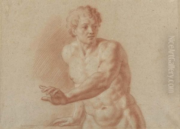 Half-length Portrait Of A Young Boy. - view 1