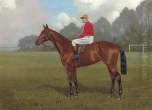 Lady Of Asia, A Racehorse