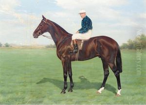 'willonyx' With Jockey Up