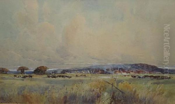 Marshlands - view 1