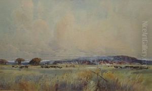 Marshlands by George Charles Haite