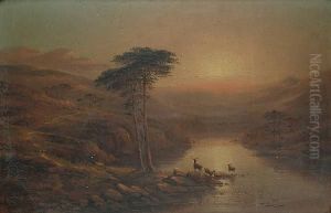 Stags By A Loch At Sunset