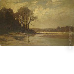 Tidal Pool