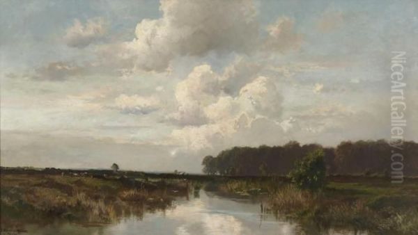 Moorlandschaft Mit Kuhherde - view 1