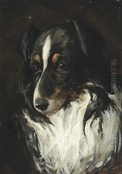 Study Of A Collie - view 1