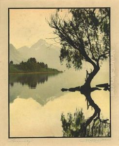 Road To Queenstown Together Withwanganui River Together With At Eventide Together Withserenity Road To Queenstown Together Withwanganui River Together With At Eventide Together Withserenity