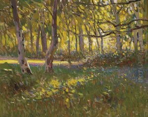 A Sunlit Wood by Frederick Hall