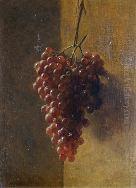 Still Life Of Grapes - view 1