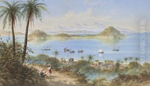 Sailing Off The Coast Of Brazil