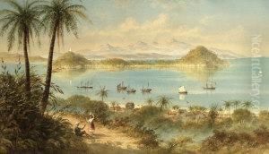View Of A Tropical Harbour