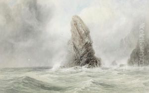 On The Scotch Coast by George Lowthian Hall