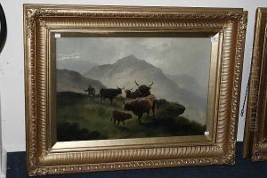 Highland Cattle Watering In A Misty Landscape