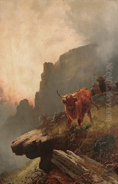 Highland Cattle On A Cliff Top - view 1