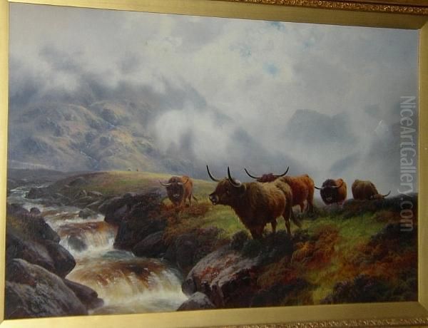 Highland Cattle, Near Inversnaid, Loch Lomond, Nb - view 1