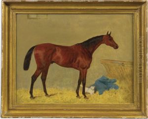 Hawthornden With Cat In A Stable, Property Of Mr. T.v. Morgan Of Chelsea