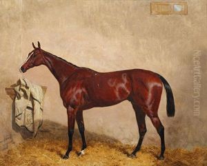 "north Lincoln", A Bay Horse In A Stable