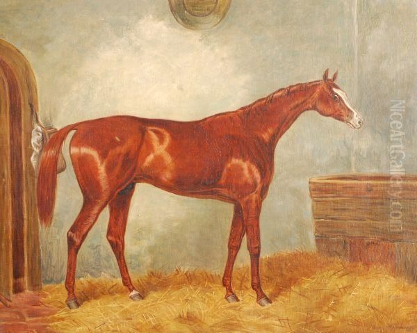 Winner Of The Derby & The St. Leger - view 1