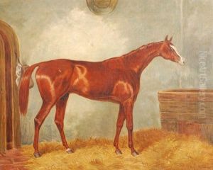 Winner Of The Derby & The St. Leger