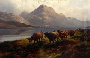 'highland Roamers Loch Maree N.b.' And 'highland Cattle Loch Ness N.b.'