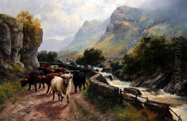 Highland Cattle - Pass Of The Trossachs - view 1