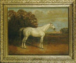 Horse Portrait by Henry R. Hall