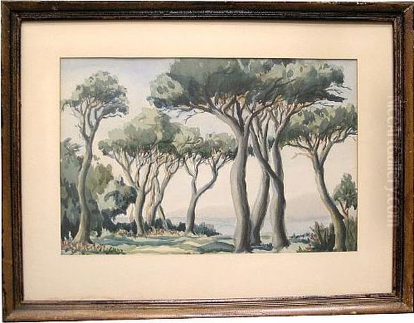 Trees Along A Coast - view 1