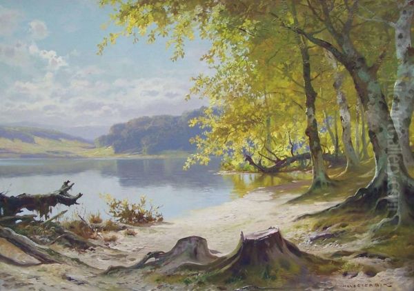 Markischer Waldsee - view 1