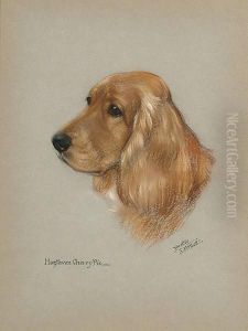 ''haztavon Cherry Pie', Study Of A Cocker Spaniel by Dorothy S. Hallett
