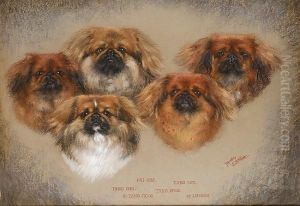 Head Studies Of Five Pekingese by Dorothy S. Hallett