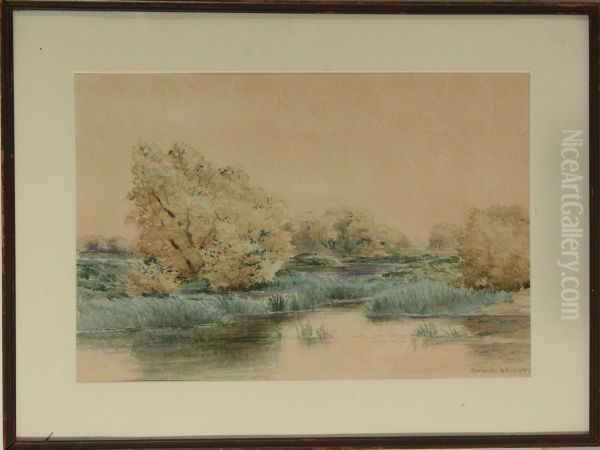 Marsh Scene - view 1