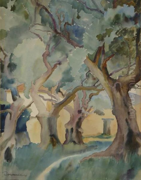 Path Through A Grove Of Trees - view 1