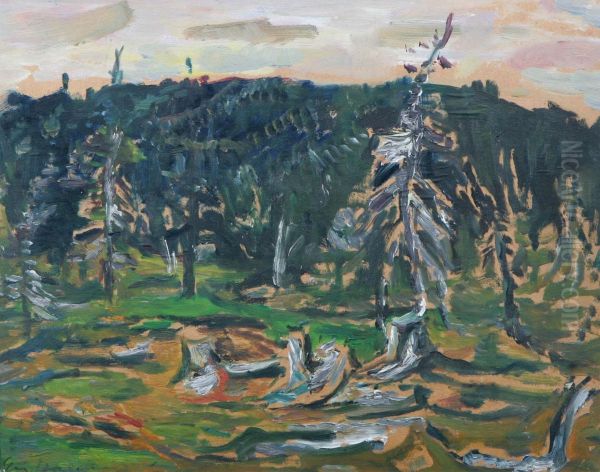 I Skogen - view 1