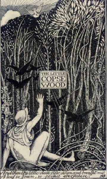 The Little Copse Wood - view 1