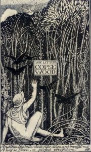 The Little Copse Wood The Little Copse Wood