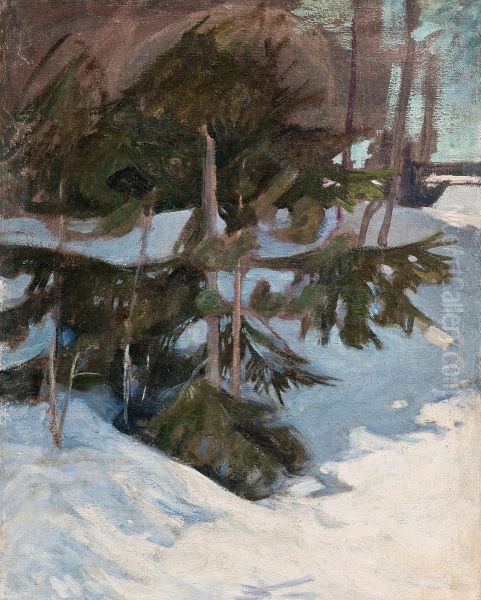 Snowdrifts - view 1