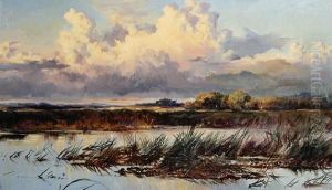 River Landscape River Landscape