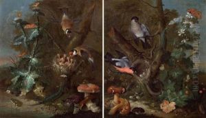 Pair Of Works: Still Life With Birds And Fungi