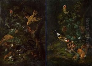 Counterpart: Forest Still Life. by Johann Baptist Halszel