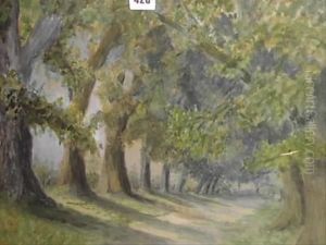 Avenue Of Trees Landscape Avenue Of Trees Landscape