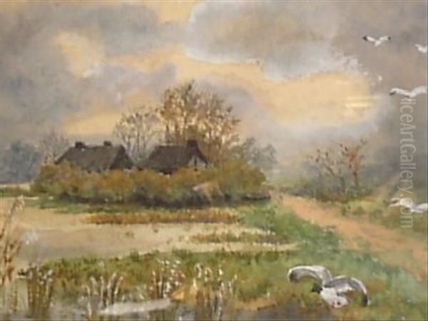 Wildfowl In Marshland Landscape - view 1