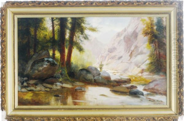 A Brook Running Through A Mountainpass - view 1