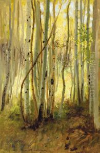 Sunlit Birch Forest