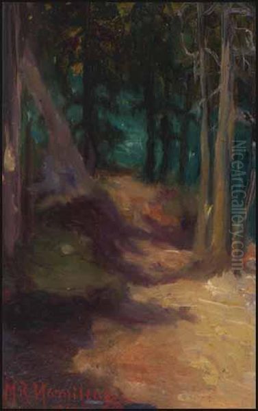 Trail, Lake Louise - view 1