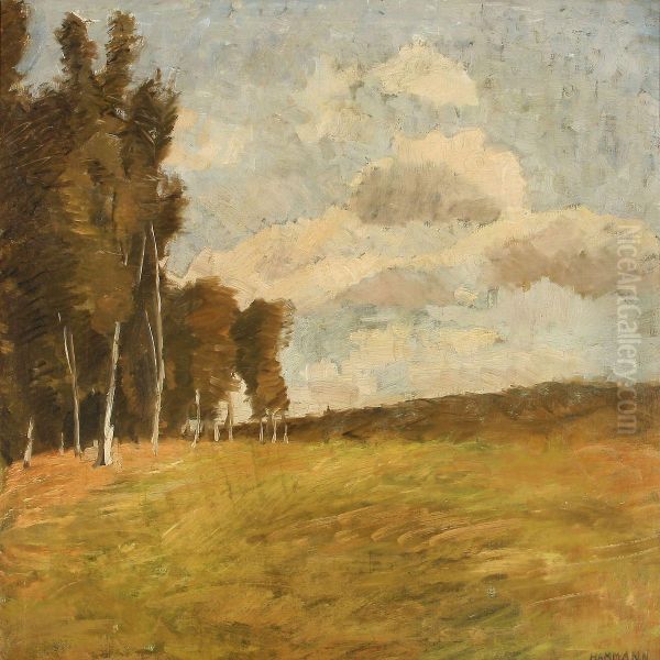 Summer Landscape - view 1