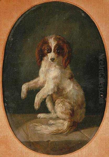 A Begging Dog - view 1